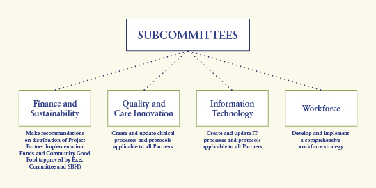 BPHC Governance Structure